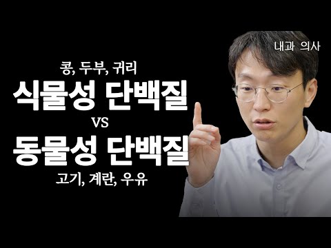 이건 단백질 레슨