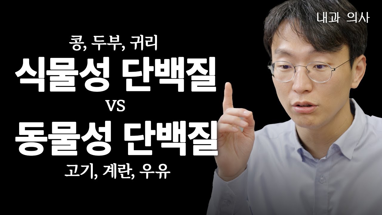 이건 단백질 레슨