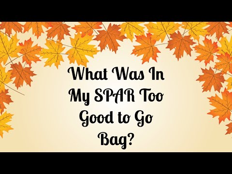 What Was In My SPAR Too Good to Go Bag?