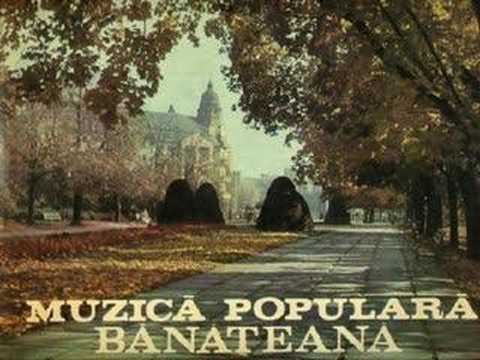 Trandafirul rau tanjeste - Achim Nica