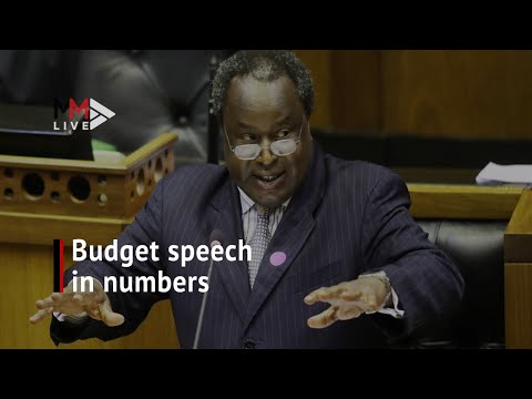 Budget breakdown SAA, 'borrowing R2.1billion daily' &amp; mooted public sector wage freezes