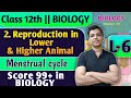 L-6 | 2. Reproduction in Lower and Higher Animal Class 12 Biology External genitalia #biology
