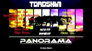 ToadSkin - Panorama(Mi-K-Sa records).