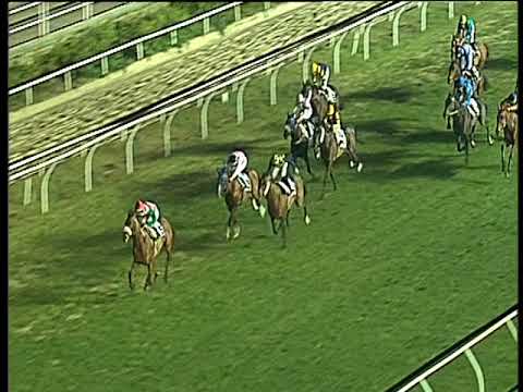 Galoppo 27/01/2018 - 6ª corsa