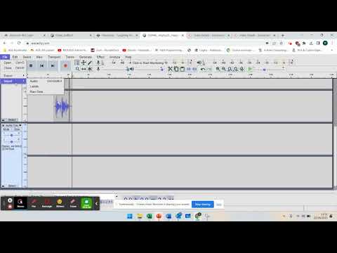 Lesson 3 - Audacity / Wavacity - Multiple Tracks