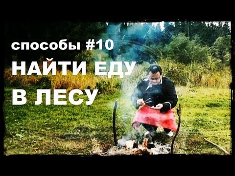 Галилео. Способы 10. Найти еду в лесу