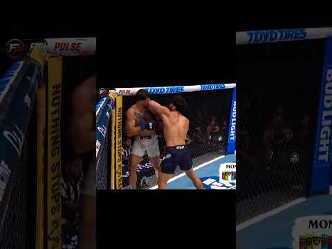 FightPulse video artwork