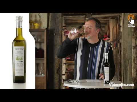Tasting Olive Oil Castillo de Canena