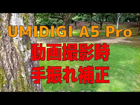 UMIDIGI A5 Pro: Does it have image stabilization when shooting video? No?
