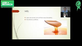 Benefícios dos produtos da apicultura - MEL