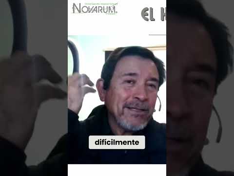 Miniatura de 🍔 ¿Antojo o nutrición? La trampa silenciosa