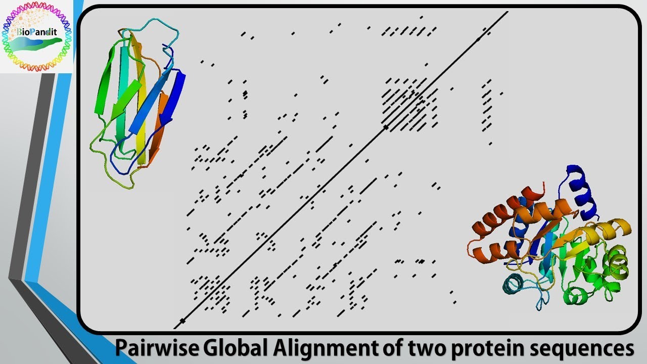 Comparing two Sequences using Dot Plot
