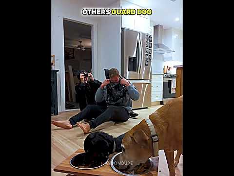 Last one went WRONG💀