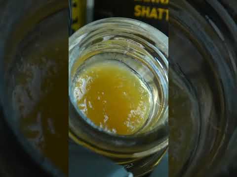 Videos from MIDS FACTORY