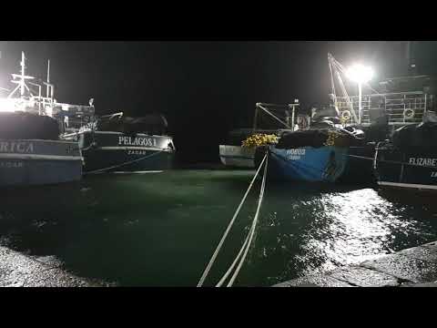 Biograd na Moru - Jugo 29.10.2018.