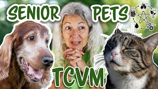 TCVM for Senior Pets 💚 Never Too Old for Holistic Care