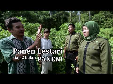 Tablet untuk meningkatkan potensi pada wanita Persiapan Agar potensi peningkatan