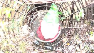 Volcano (SHORT FILM)