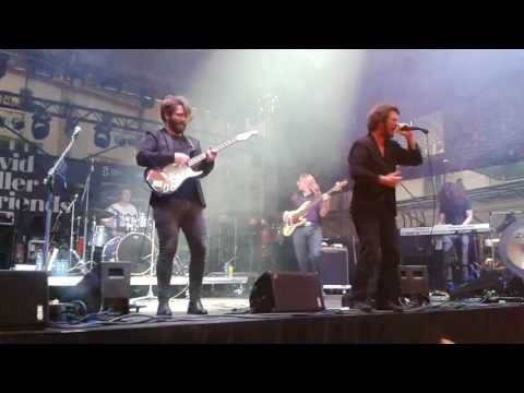 Koller & Friends: Hentai Corporation předělali song Až ti řeknu