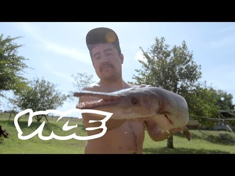 Taco de Pejelagarto | Todos Los Tacos T3 - E1