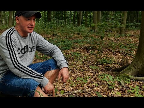 StyliStyka (Oficjalny teledysk)