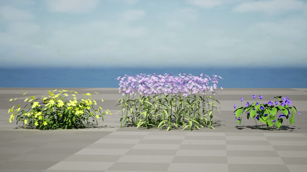 North American species collection 3D Model
