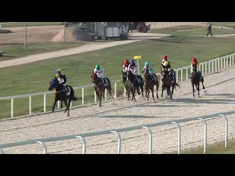 2020.11.22. 04. futam - ORIGINAL HENDIKEP (V.o.) (szintetikus pálya)