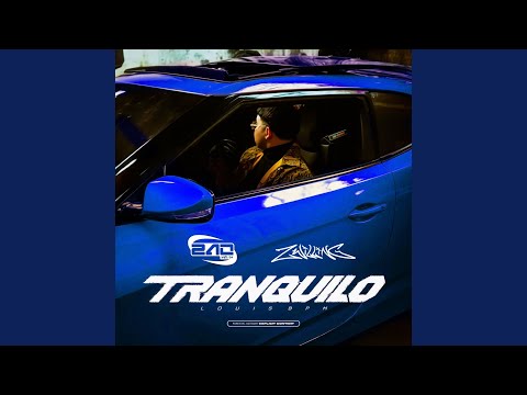 Tranquilo (zwilling. Remix)