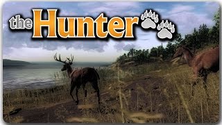 The Hunter ► Reh in Camouflage eingegraben!
