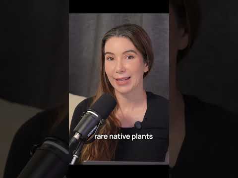 Why Are Catalina’s Deer Being Targeted While Bison Stay?