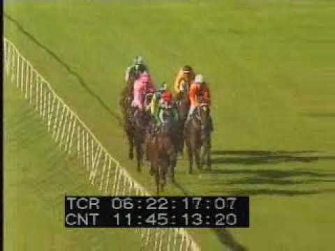 29 April 2018 Borrowdale Park race 6