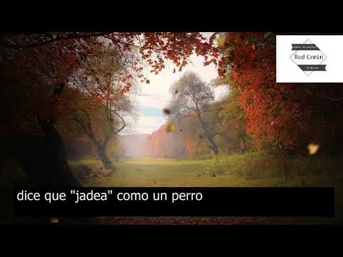 ¿Son los perros haram o están prohibidos en el Corán?