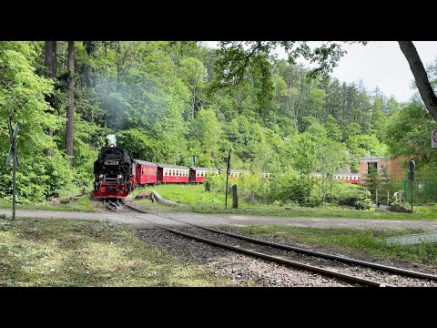 Im Harz dampft es wieder