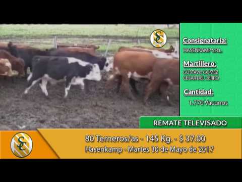 30-05-17 - Ventas Remate Televisado Consignataria Hasenkamp