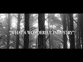 M. Ward - What A Wonderful Industry (TRAILER)