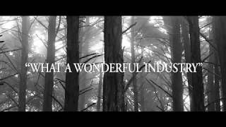 M. Ward - What A Wonderful Industry (TRAILER)