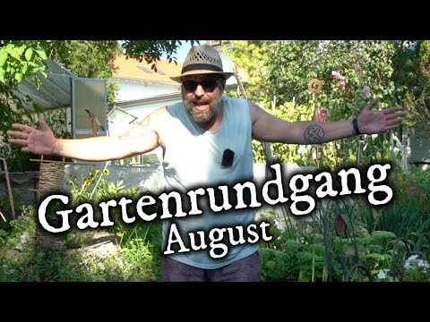 Gartenrundgang Ende August - Hitzeschlacht und Ernteglück 😃