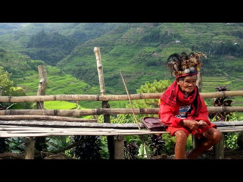 MÚSICA XAMÂNICA  -  ENERGIA DE CURA, Eliminar Ansiedade, Stress e dormir profundamente. #08