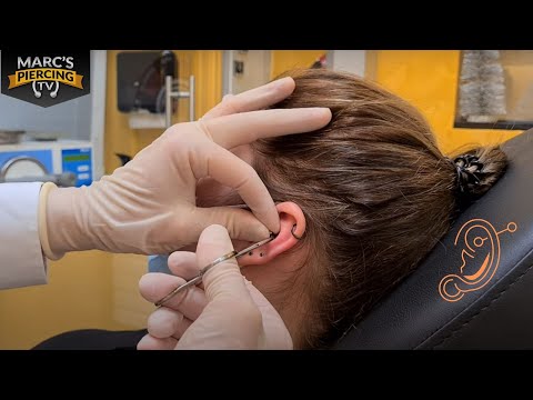 One piercing isn't enough, so get two! - Belly button piercing and tragus 💉 Marc's Piercing TV