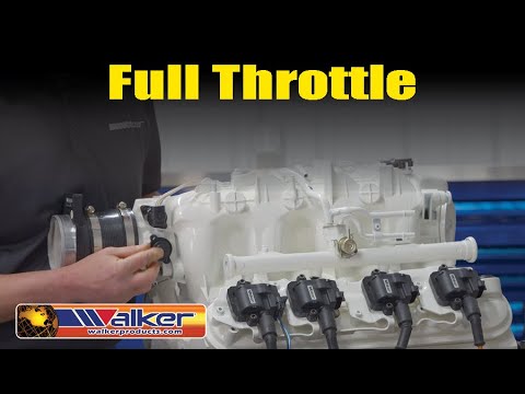 Walker Products Throttle Position Sensors