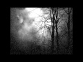 The Burning - Beyond the Stars 