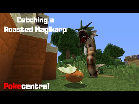 Pokecentral | Catching a roasted magikarp???