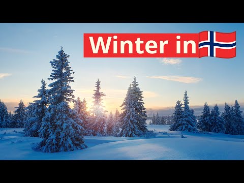 Heftige Winterbedingungen in Norwegen 🇳🇴