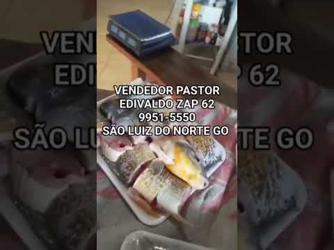 PEIXE 25 , 00 REIAS A BANDEJA SÃO LUIZ DO NORTE GO