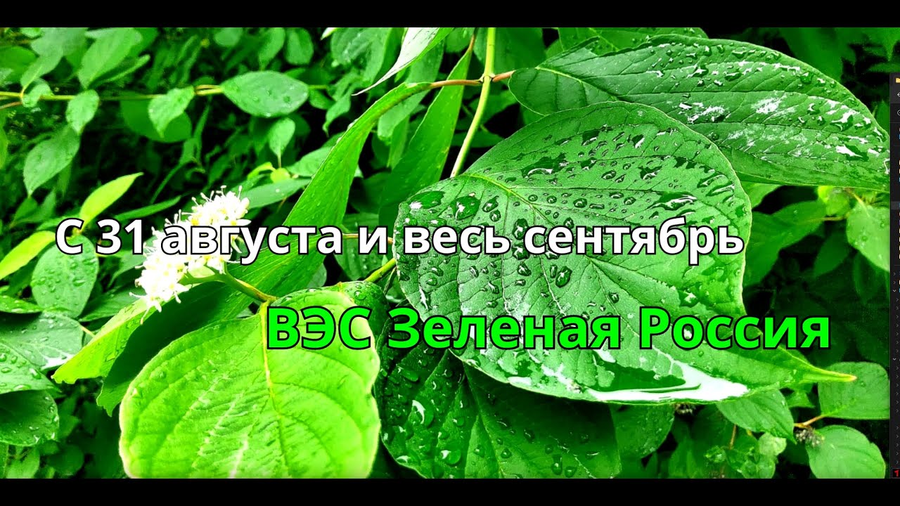 Постер видео