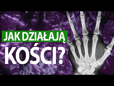 Jak działa człowiek #KOŚCI (tłumaczenie PJM)