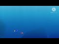Finding Nemo School Of Moonfish