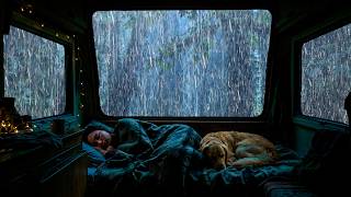 Sons de chuva para dormir.Chuva forte e tempestade no carro para ajudar você a adormecer rapidamente
