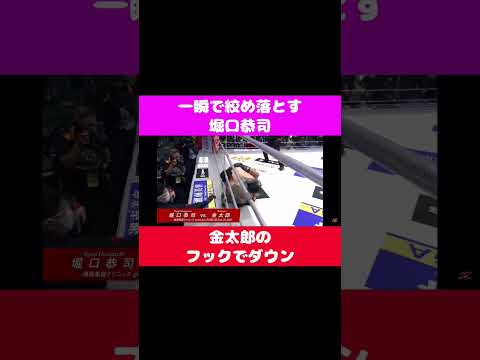 堀口恭司　一瞬で相手選手を締め落とす　#shorts #rizin #bellator #堀口恭司 #カーフキック #金太郎 #柔術