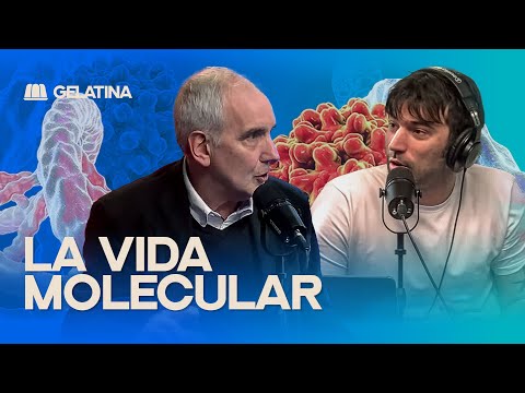ALBERTO KORNBLIHTT: Especialista en BIOLOGÍA MOLECULAR | Con Pedro ROSEMBLAT